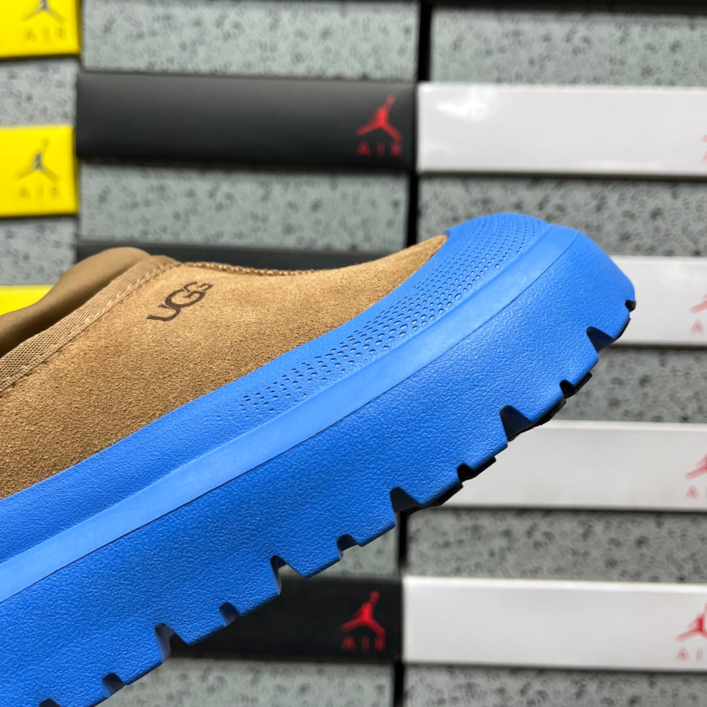 UGG Tasman Weather Hybrid – Tan Suede Slip-On with Cobalt Blue SugarSole & Sheepskin Lining