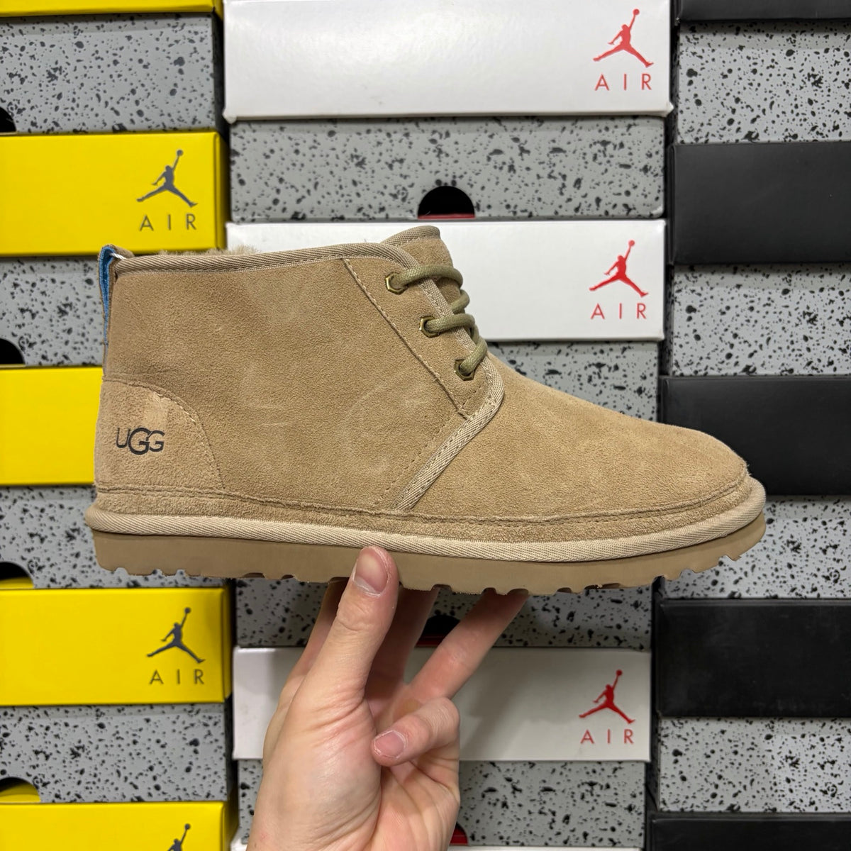 UGG Neumel Boot – Sand/Beige Suede Lace-Up Chukka with Blue Heel Pull Tab, Debossed UGG Logo & Gum Sole
