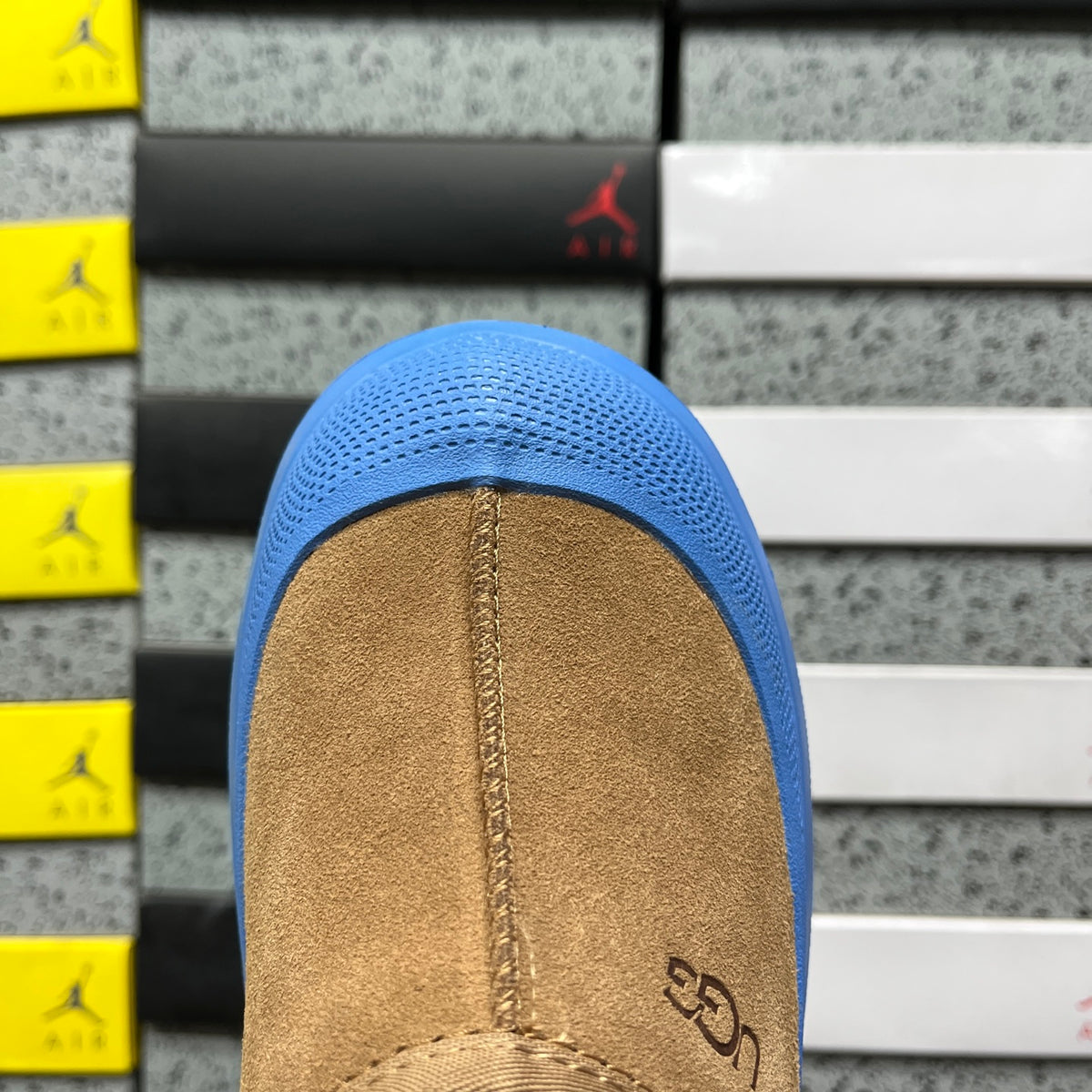 UGG Tasman Weather Hybrid – Tan Suede Slip-On with Cobalt Blue SugarSole & Sheepskin Lining