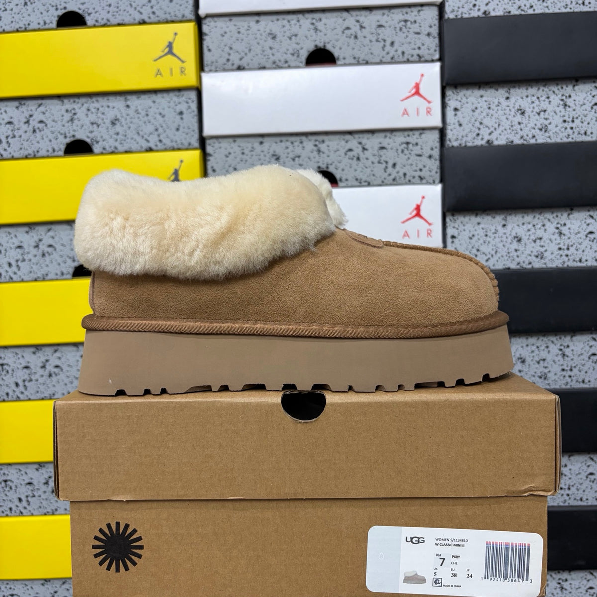 UGG Tazz Slipper – Chestnut Suede Tall Platform Mule with Voluminous Cream Sheepskin Roll Cuff
