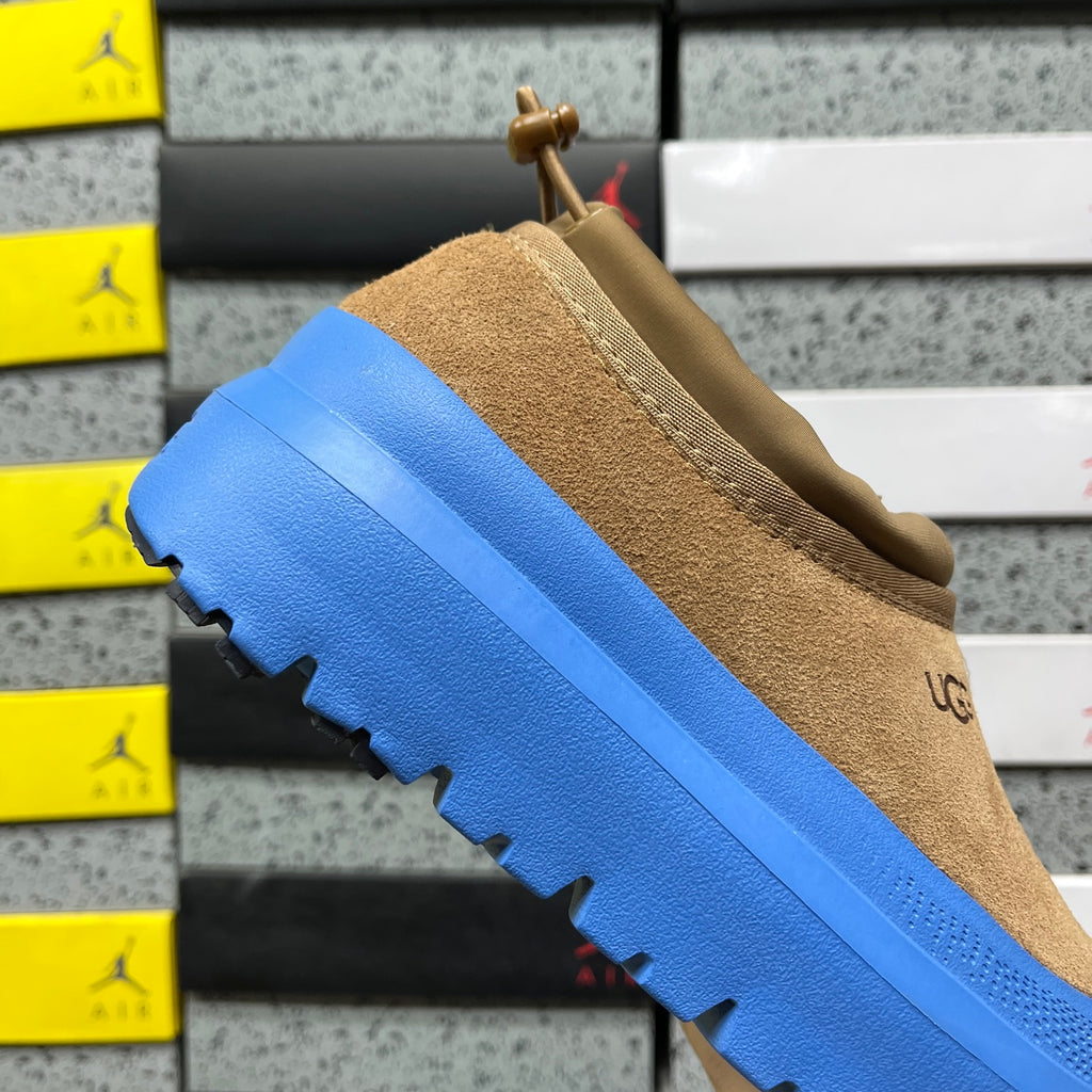 UGG Tasman Weather Hybrid – Tan Suede Slip-On with Cobalt Blue SugarSole & Sheepskin Lining