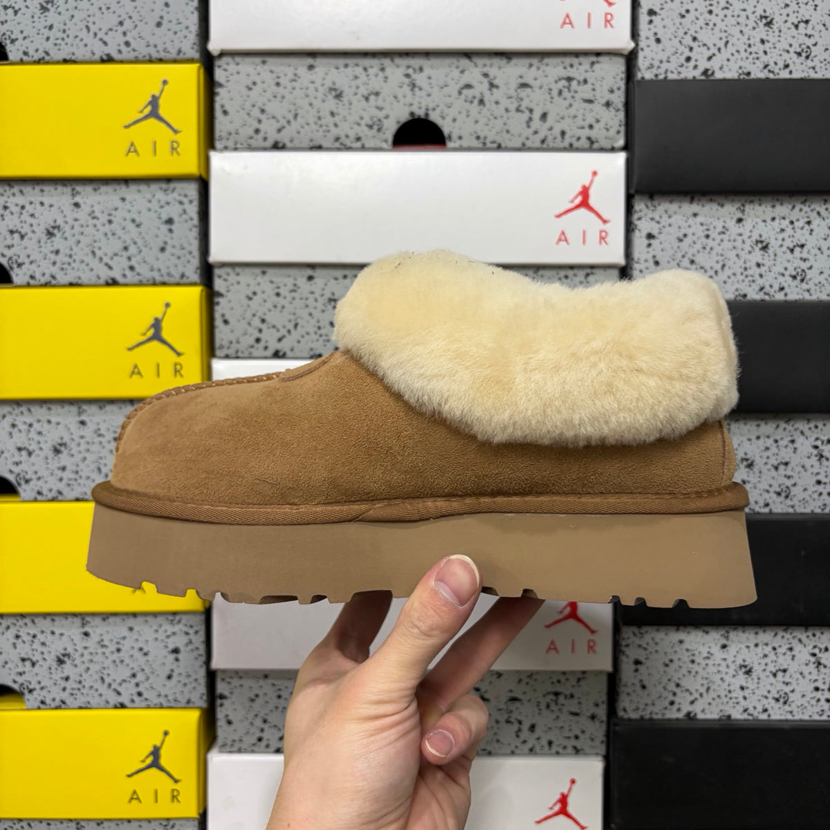 UGG Tazz Slipper – Chestnut Suede Tall Platform Mule with Voluminous Cream Sheepskin Roll Cuff