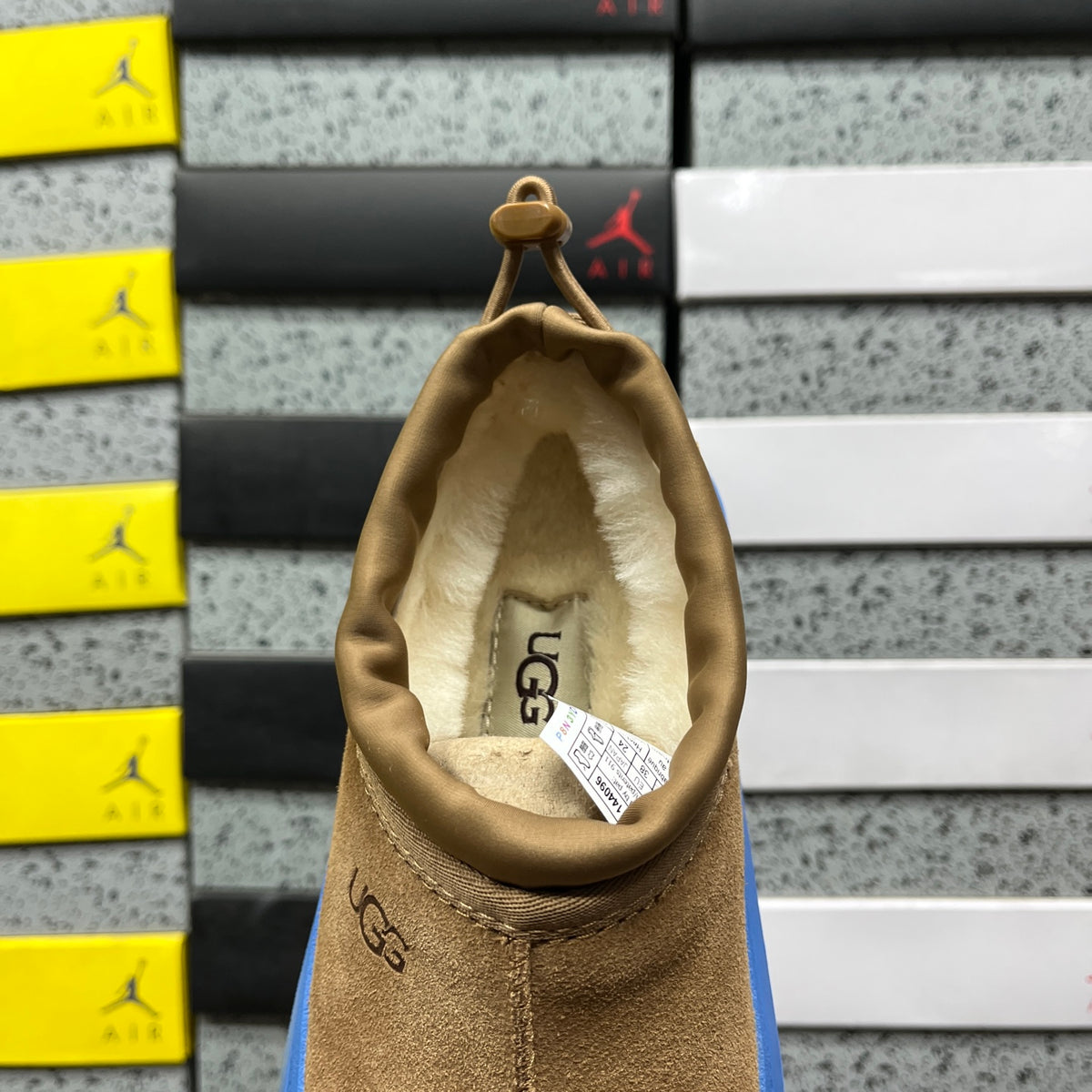 UGG Tasman Weather Hybrid – Tan Suede Slip-On with Cobalt Blue SugarSole & Sheepskin Lining