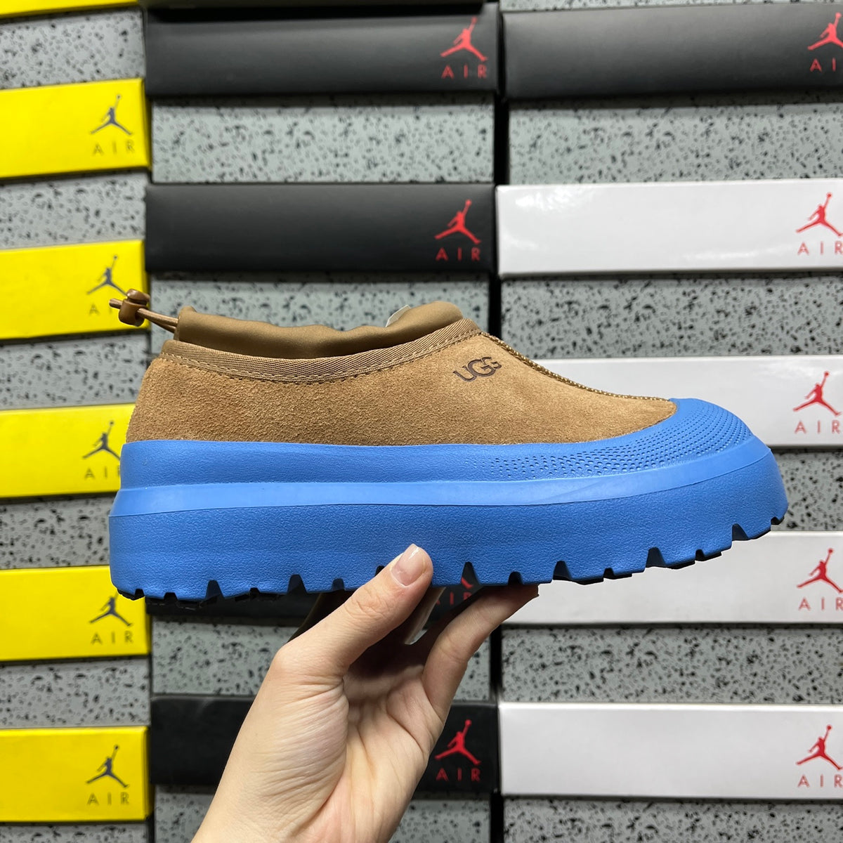 UGG Tasman Weather Hybrid – Tan Suede Slip-On with Cobalt Blue SugarSole & Sheepskin Lining