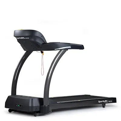 SportsArt E876 Status Eco Natural Elliptical