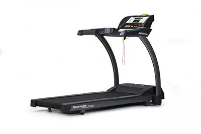 SportsArt E876 Status Eco Natural Elliptical